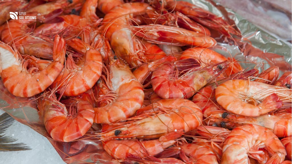 Acuacultura es el cultivo controlado de organismos acuáticos